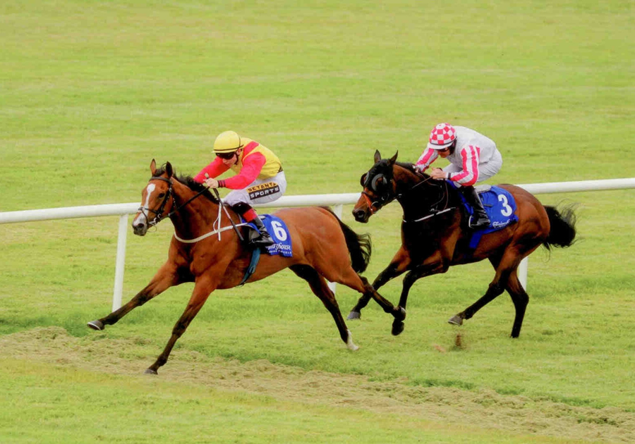 Bilderberg Fairyhouse Wed 2nd July